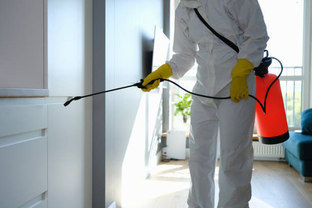 Best Home Mold Removal  in Ramblewood, NJ